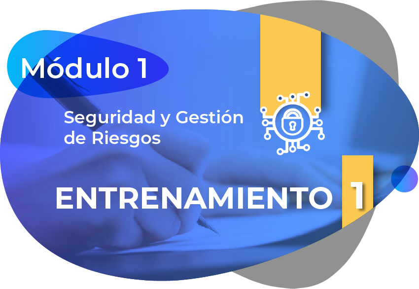 Gobernabilidad de la seguridad a través de principios y políticas