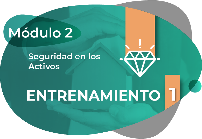 Protección y seguridad de los activos