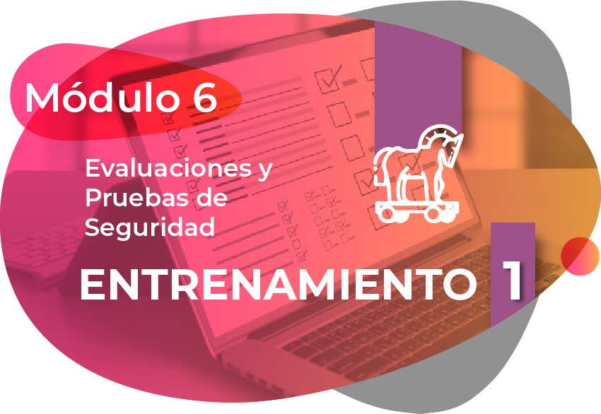 Evaluación y prueba de seguridad
